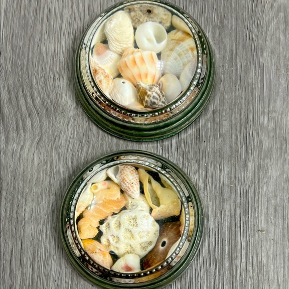 Vintage shell paperweights with glass dome lot of 2 - Picture 1 of 5